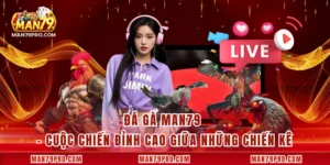 Đá Gà MAN79 – Cuộc Chiến Đỉnh Cao Giữa Những Chiến Kê