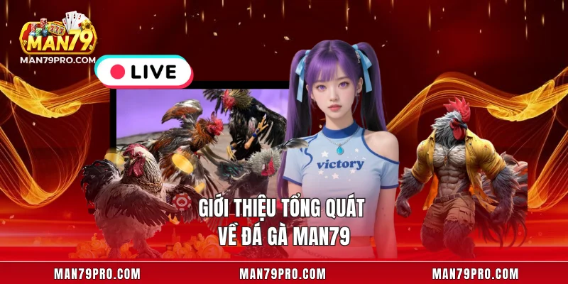 Đá Gà MAN79 – Cuộc Chiến Đỉnh Cao Giữa Những Chiến Kê Giới thiệu tổng quát về đá gà MAN79