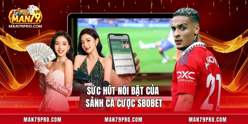 Sức hút nổi bật của sảnh cá cược SBOBET